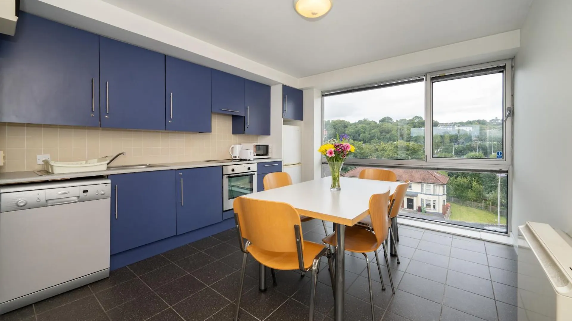 Victoria Mills - Ucc Summer Beds Cork Apartment