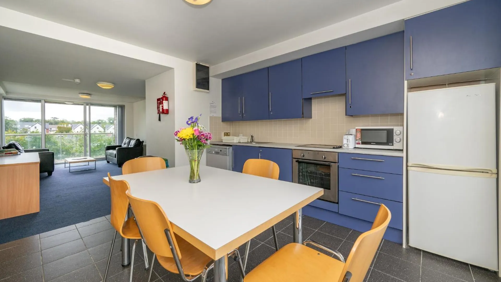 Apartment Victoria Mills - Ucc Summer Beds Cork