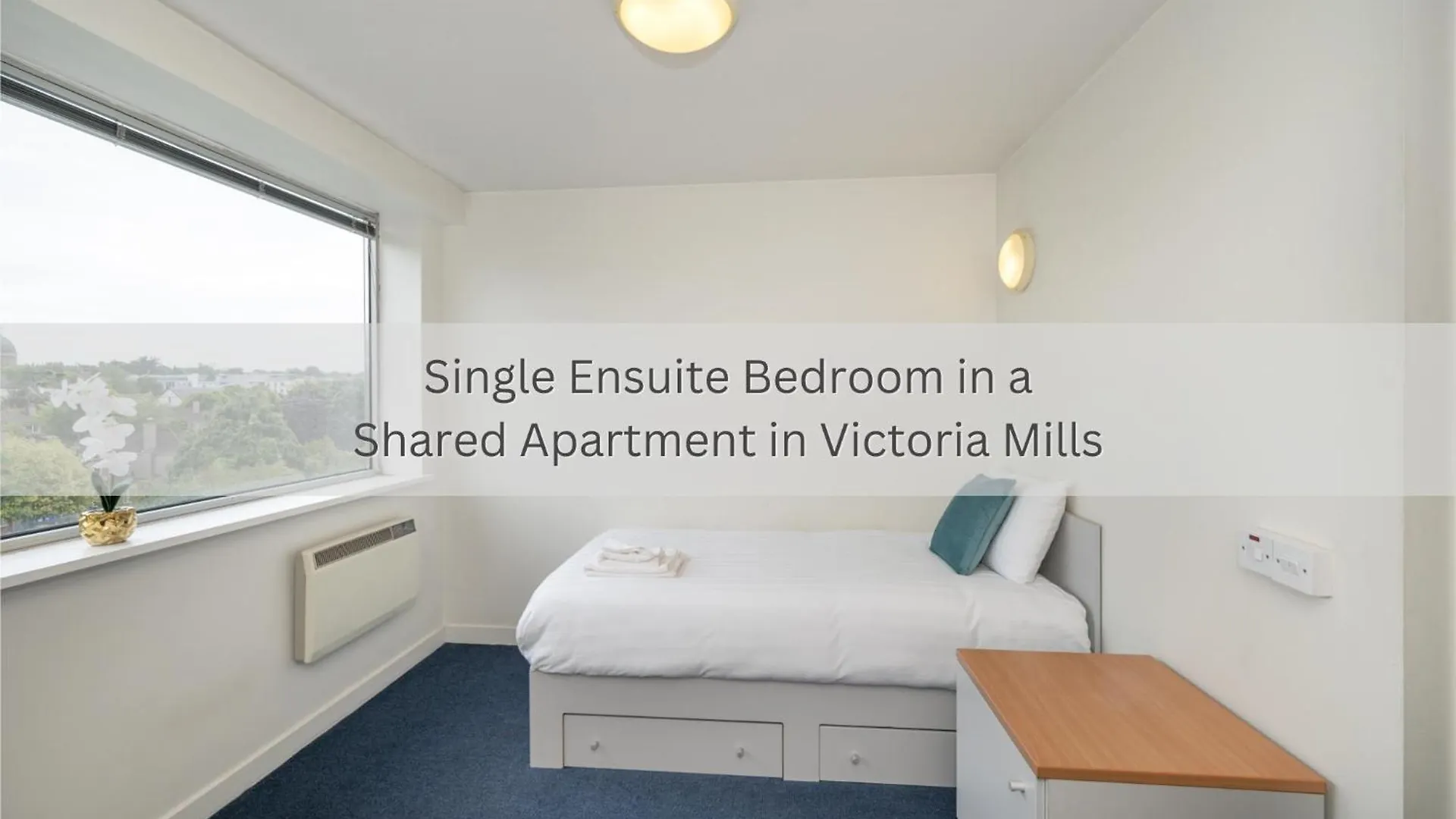 Victoria Mills - Ucc Summer Beds Cork Apartment
